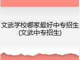 文武学校哪家最好中专招生(文武中专招生)