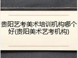 贵阳艺考美术培训机构哪个好(贵阳美术艺考机构)