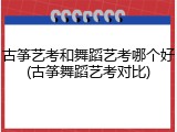 古筝艺考和舞蹈艺考哪个好(古筝舞蹈艺考对比)