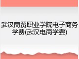 武汉商贸职业学院电子商务学费(武汉电商学费)