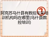阿克苏乌什县有数控车床培训机构吗在哪里(乌什县数控培训)