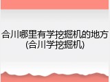 合川哪里有学挖掘机的地方(合川学挖掘机)