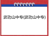 武功山中专(武功山中专)