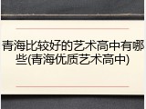 青海比较好的艺术高中有哪些(青海优质艺术高中)