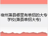 宿州萧县哪里有单招的大专学校(萧县单招大专)