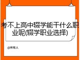 考不上高中辍学能干什么职业呢(辍学职业选择)