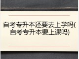 自考专升本还要去上学吗(自考专升本要上课吗)