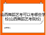 山西舞蹈艺考可以考哪些学校(山西舞蹈艺考院校)