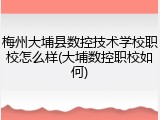 梅州大埔县数控技术学校职校怎么样(大埔数控职校如何)