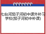 七台河茄子河初中课外补习学校(茄子河初中补课)