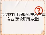 武汉软件工程职业技术学院专业(武软职院专业)
