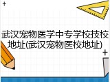 武汉宠物医学中专学校技校地址(武汉宠物医校地址)