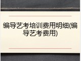 编导艺考培训费用明细(编导艺考费用)