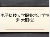 电子科技大学职业培训学校(科大职校)