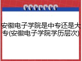 安徽电子学院是中专还是大专(安徽电子学院学历层次)