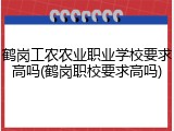 鹤岗工农农业职业学校要求高吗(鹤岗职校要求高吗)