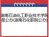 湖南石油化工职业技术学院是公办(湖南石化职院公办)