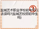 盐城艺术职业学校初中可以去读吗?(盐城艺校招初中生吗)