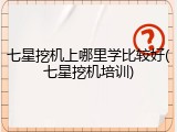 七星挖机上哪里学比较好(七星挖机培训)