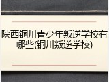 陕西铜川青少年叛逆学校有哪些(铜川叛逆学校)
