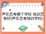 声乐艺考哪个学校 培训艺考好(声乐艺考培训学校)