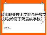 岭南职业技术学院是贵族学校吗(岭南职院贵族学校？)