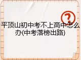 平顶山初中考不上高中怎么办(中考落榜出路)