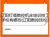 辽阳灯塔数控机床培训技工学校有哪些(辽阳数控技校)