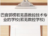 巴音郭楞若羌县数控技术专业的学校(若羌数控学校)