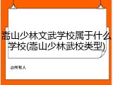 嵩山少林文武学校属于什么学校(嵩山少林武校类型)