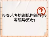 长春艺考培训机构编导(长春编导艺考)