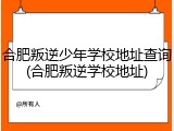 合肥叛逆少年学校地址查询(合肥叛逆学校地址)