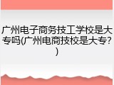 广州电子商务技工学校是大专吗(广州电商技校是大专？)