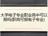 大学电子专业职业高中可以报吗(职高可报电子专业)