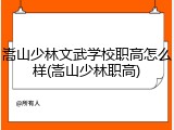 嵩山少林文武学校职高怎么样(嵩山少林职高)