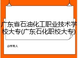 广东省石油化工职业技术学校大专(广东石化职校大专)