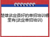楚雄武定县好的单招培训哪里有(武定单招培训)