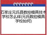 石家庄元氏县数控模具技术学校怎么样(元氏数控模具学校如何)