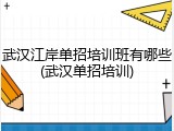 武汉江岸单招培训班有哪些(武汉单招培训)