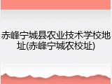 赤峰宁城县农业技术学校地址(赤峰宁城农校址)