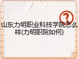 山东力明职业科技学院怎么样(力明职院如何)