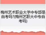 梅州艺术职业大学中专部是自考吗?(梅州艺职大中专自考吗)