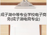 成子湖中等专业学校电子商务(成子湖电商专业)