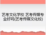 艺考文化学校 艺考传媒专业好吗(艺考传媒文化校)