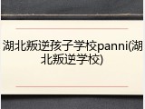 湖北叛逆孩子学校panni(湖北叛逆学校)