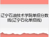 辽宁石油技术学院单招分数线(辽宁石化单招线)