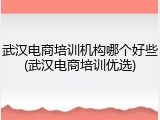 武汉电商培训机构哪个好些(武汉电商培训优选)