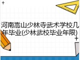 河南嵩山少林寺武术学校几年毕业(少林武校毕业年限)
