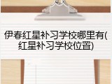 伊春红星补习学校哪里有(红星补习学校位置)
