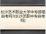 长沙艺术职业大学中专部是自考吗?(长沙艺职中专自考吗)